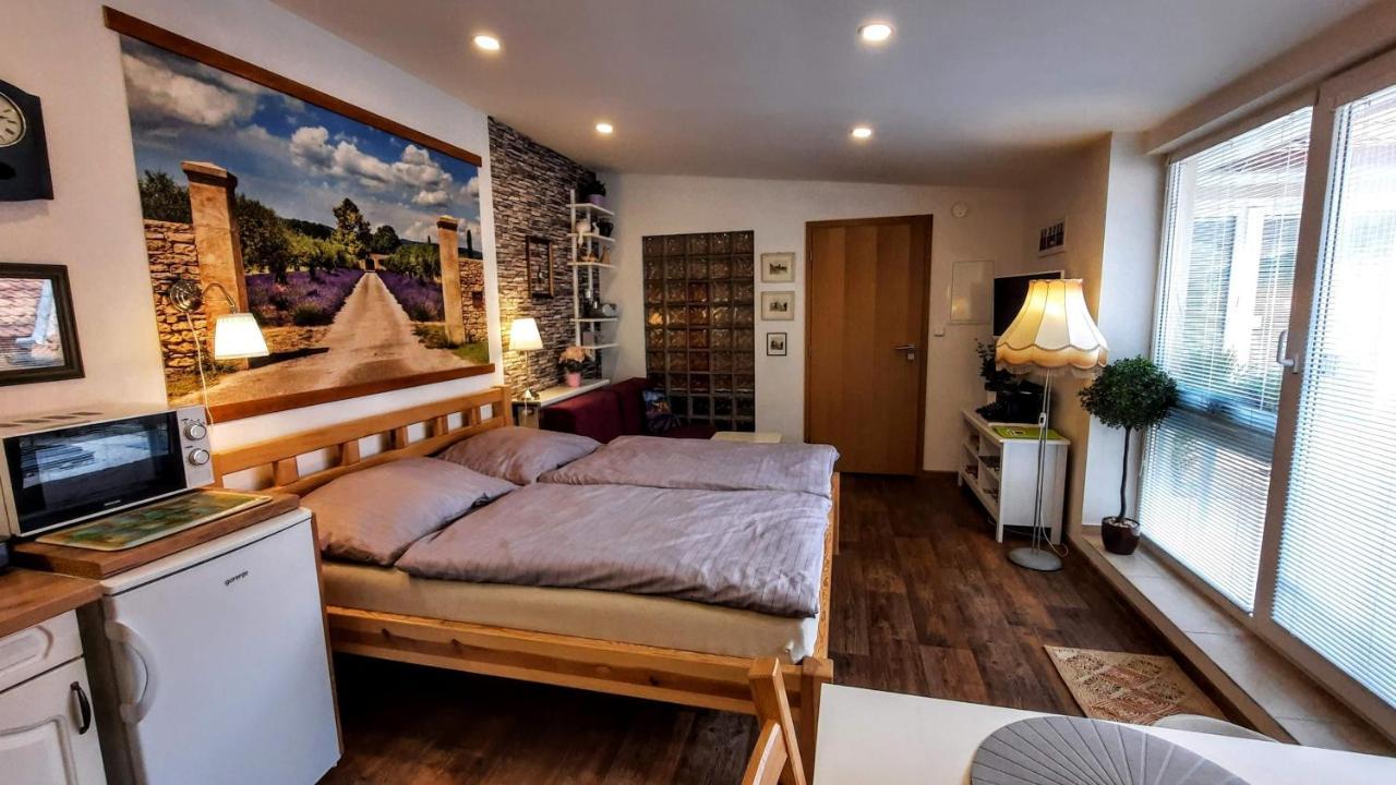 Apartmán Za kopcem Boskovice Exteriér fotografie