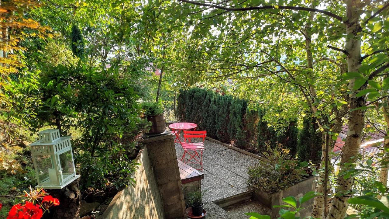 Apartmán Za kopcem Boskovice Exteriér fotografie