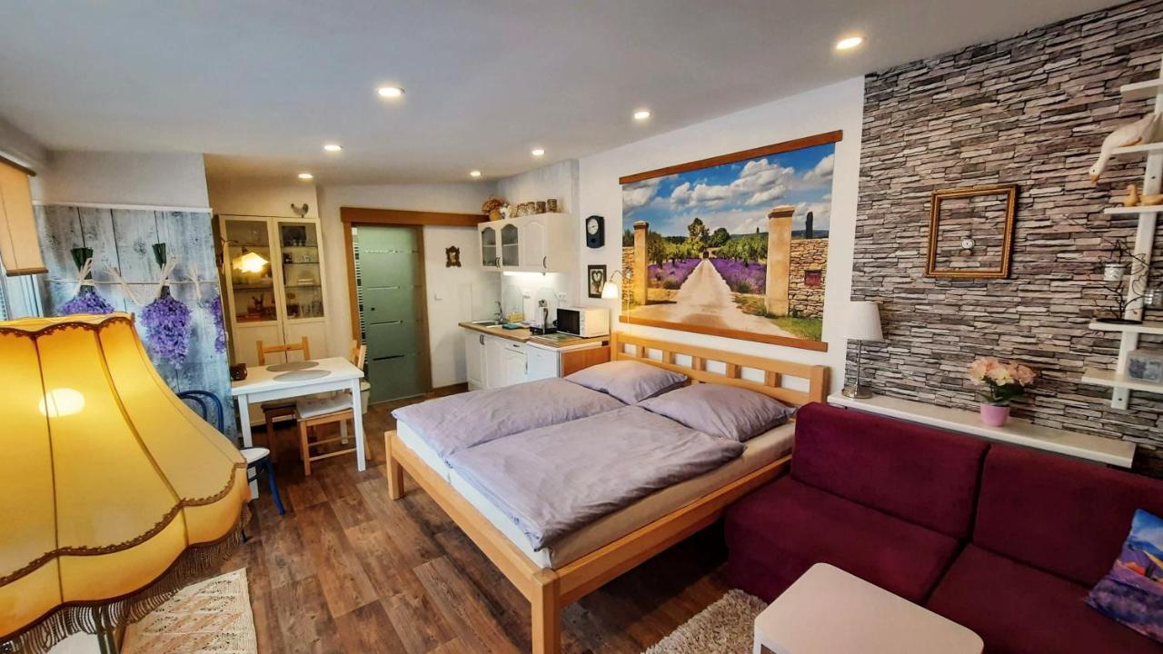 Apartmán Za kopcem Boskovice Exteriér fotografie