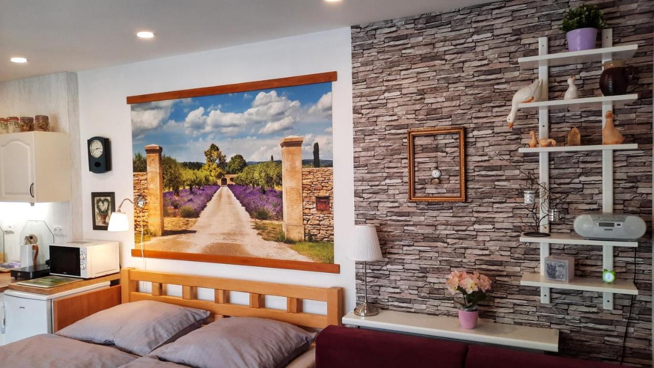 Apartmán Za kopcem Boskovice Exteriér fotografie