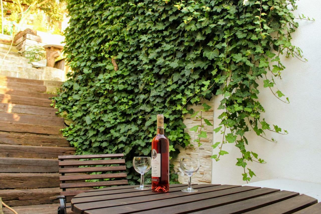 Apartmán Za kopcem Boskovice Exteriér fotografie