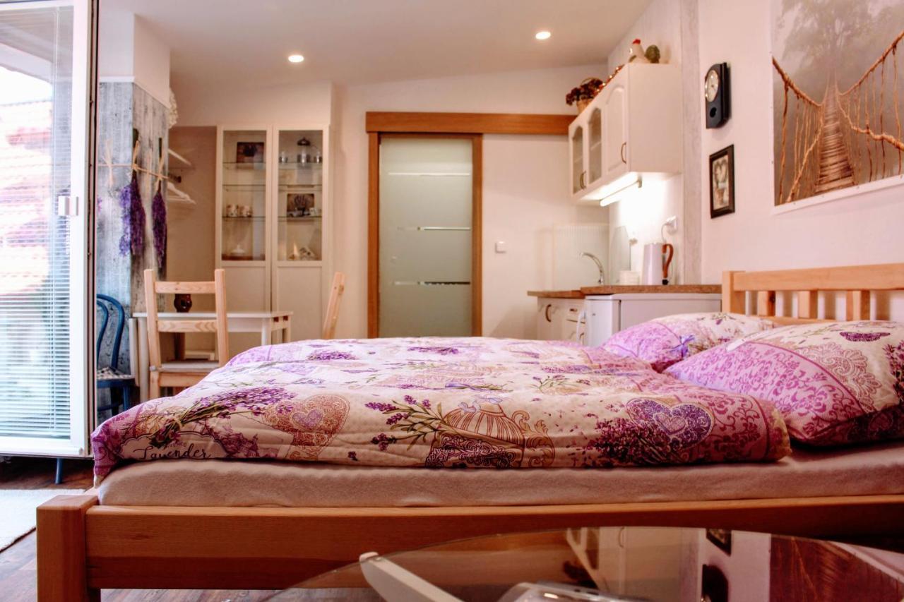 Apartmán Za kopcem Boskovice Exteriér fotografie
