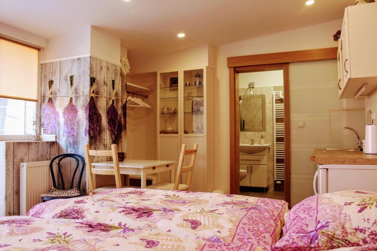 Apartmán Za kopcem Boskovice Exteriér fotografie